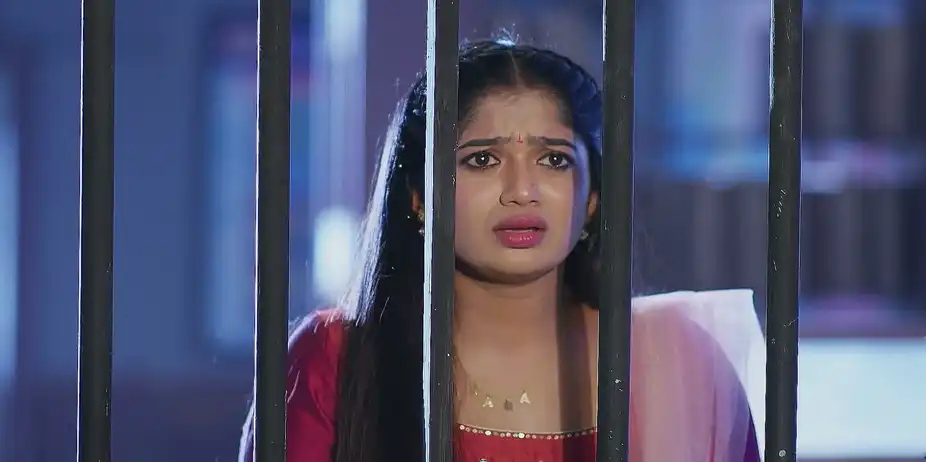 Sandhyaraaga - December 28, 2024 - Best Scene