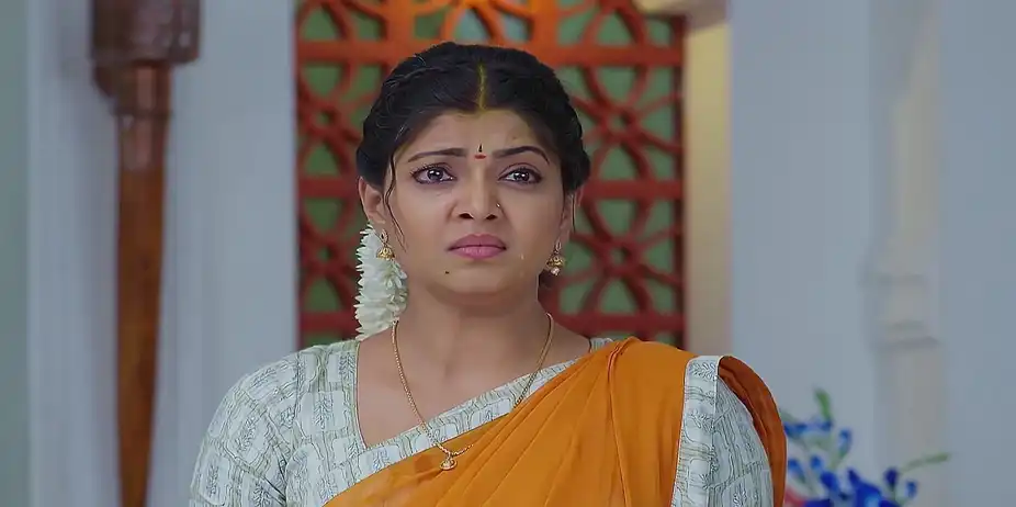 Kalavaari Kodalu Kanakamahalakshmi - December 28, 2024 - Best Scene
