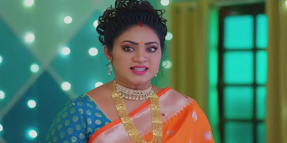 Meghasandesam - December 31, 2024 - Best Scene