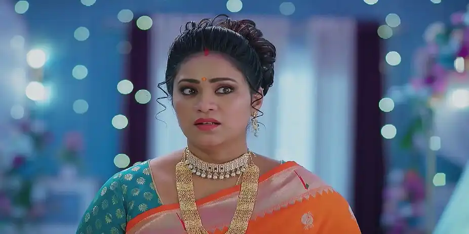 Meghasandesam - January 02, 2025 - Best Scene