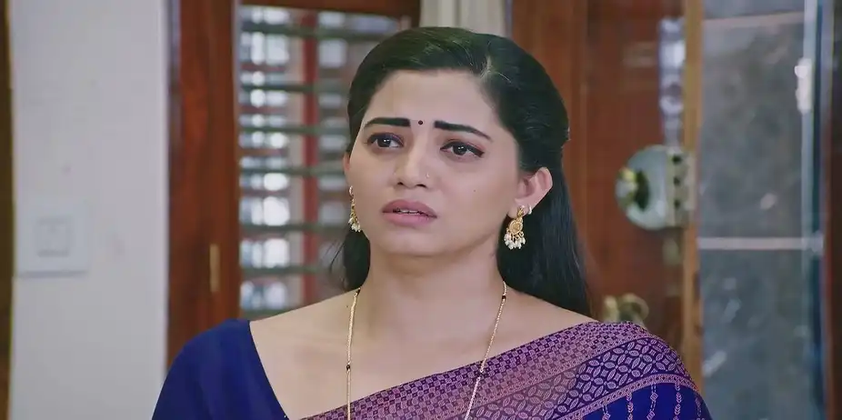 Lakshmi Nivasa - December 30, 2024 - Best Scene