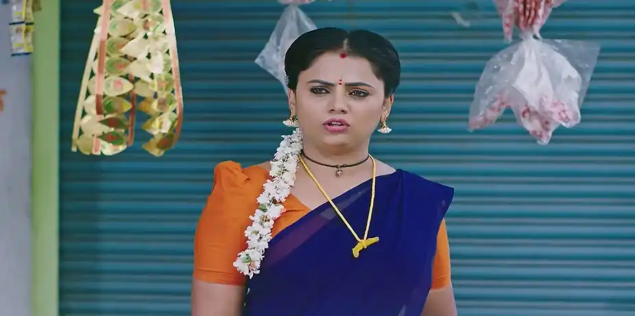 Lakshmi Nivasa - January 01, 2025 - Best Scene