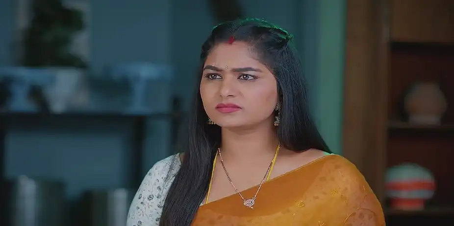 Meghasandesam - January 10, 2025 - Best Scene