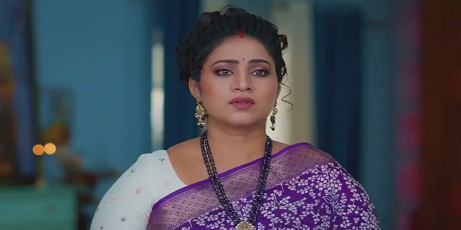 Meghasandesam - January 08, 2025 - Best Scene