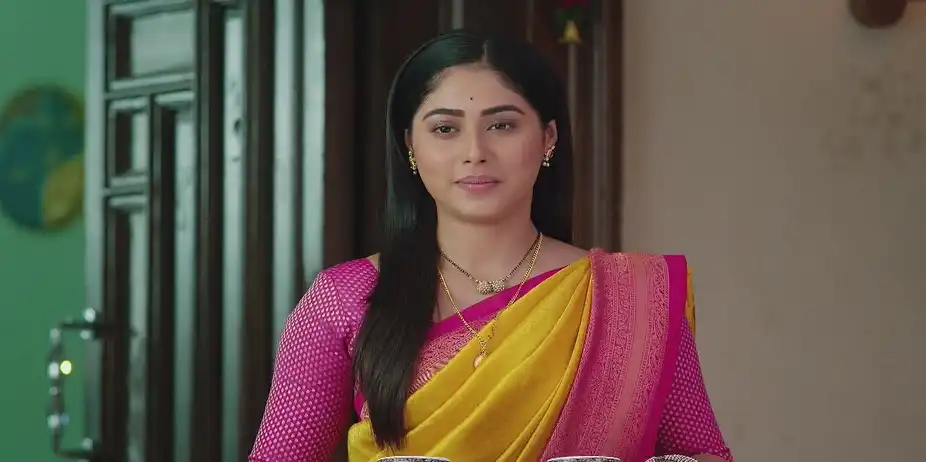 Vasu Is Pleased by Akhil and Akash's Unity - Punha Kartavya Ahe