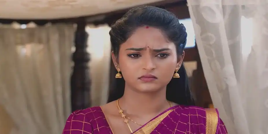 Janaki Weeps Seeing Kathir's Bruises - Sandhya Raagam