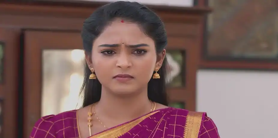 Bhuvaneshwari Argues with Raghuram - Sandhya Raagam