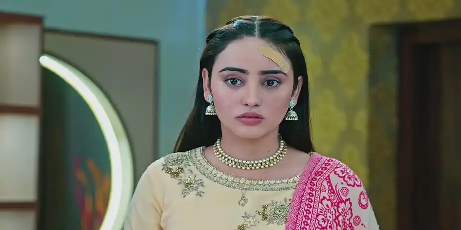Kabir Dismisses Sehajveer - Sehajveer