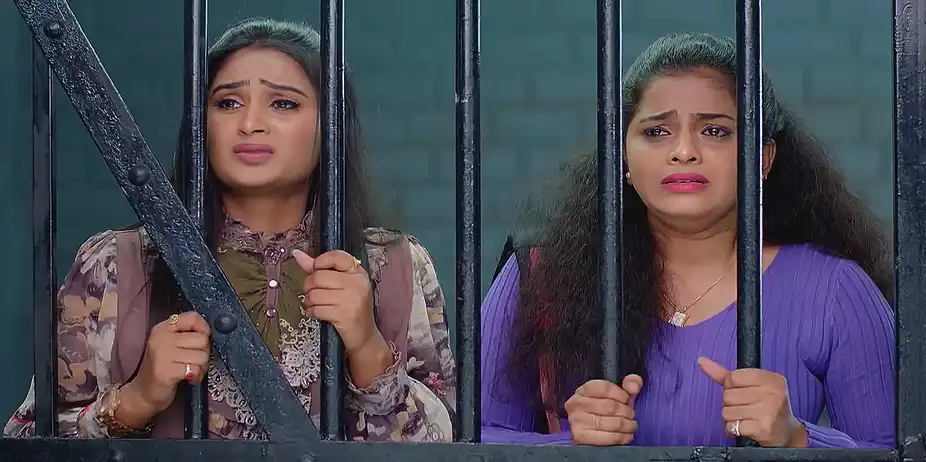 Gundamma Katha - January 17, 2025 - Best Scene