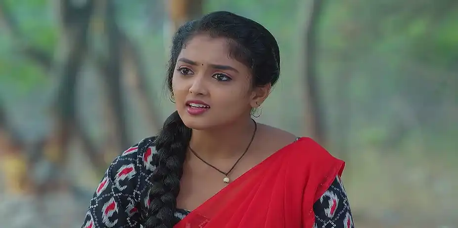 Meghasandesam - January 14, 2025 - Best Scene
