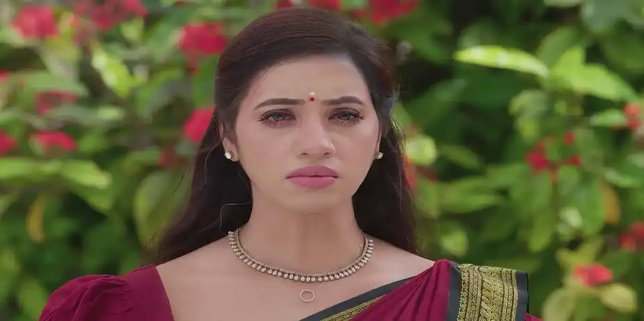 Karthigai Deepam - January 18, 2025 - Best Scene