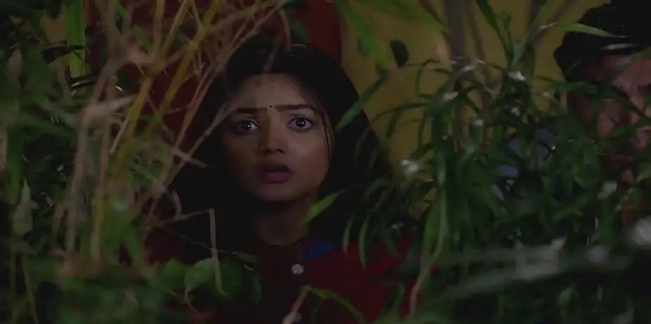 Phulki Searches for the Culprit - Phulki
