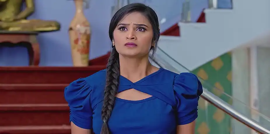 Gundamma Katha - January 25, 2025 - Best Scene