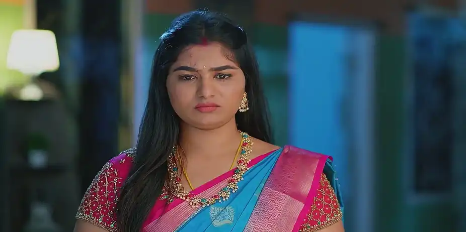 Meghasandesam - January 21, 2025 - Best Scene