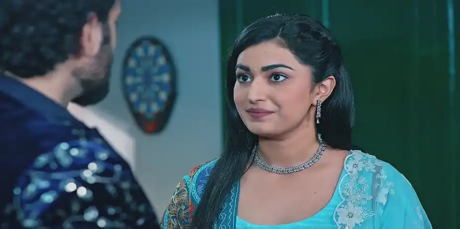 Meher’s Party Arrangements Upset Vikram - Sehajveer