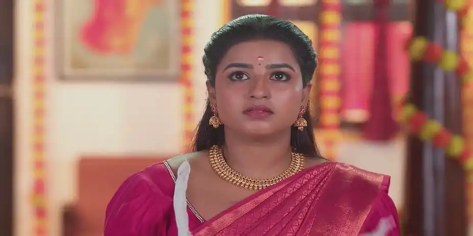 Karthigai Deepam - January 20, 2025 - Best Scene