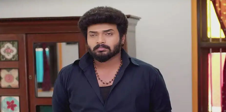 Karthigai Deepam - January 25, 2025 - Best Scene