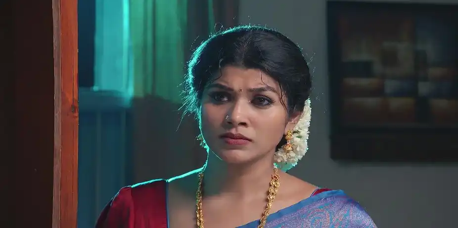 Bhuvaneshwari Narrates Incidents to Pashupathi - Sandhya Raagam