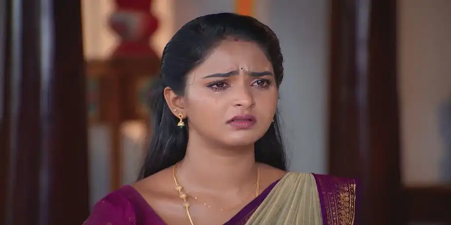 Sandhya Raagam - January 22, 2025 - Best Scene