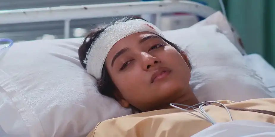 Mithijhora - January 31, 2025 - Best Scene
