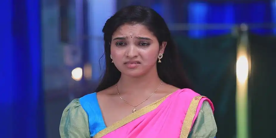 Raja Sundaram Is Happy for Subbalakshmi - Manasellam