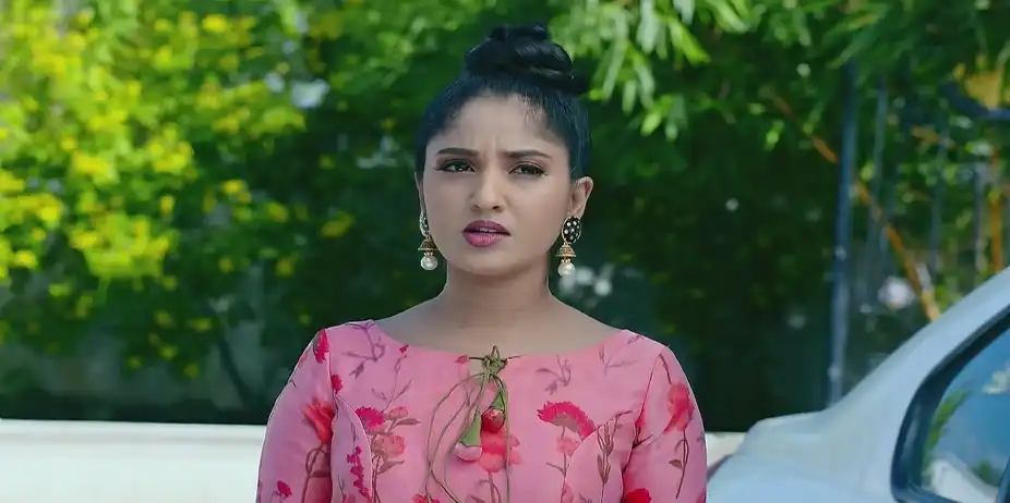 Kalyanamasthu - January 31, 2025 - Best Scene
