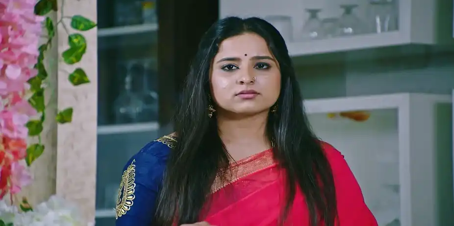 Lakshmi Nivasa S1 E502 - A Camera Makes Jahnavi Suspicious of Jayanth