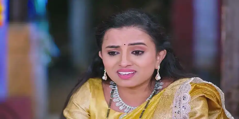 Vishalakshi Vents Her Anger - Shravani Subramanya