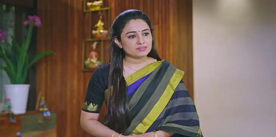 Bhagya Searches for Bhoomika - Amruthadhaare