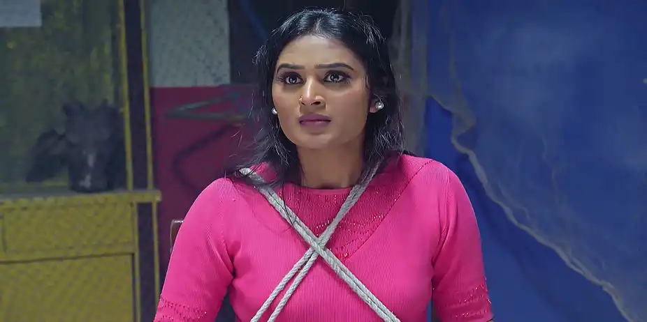 Gundamma Katha - February 01, 2025 - Best Scene