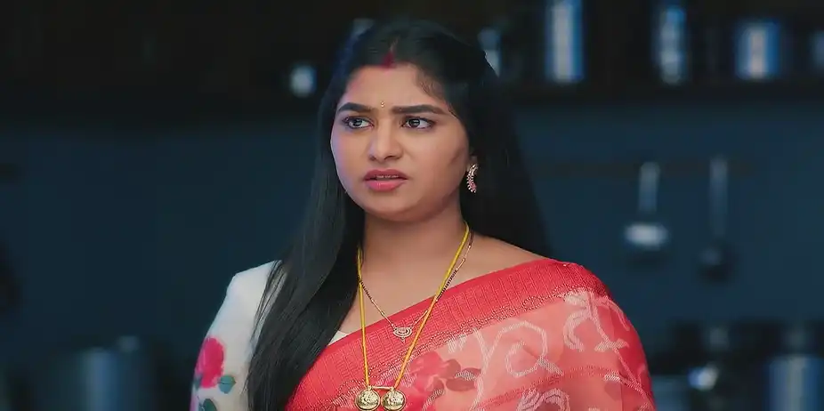 Meghasandesam - January 27, 2025 - Best Scene