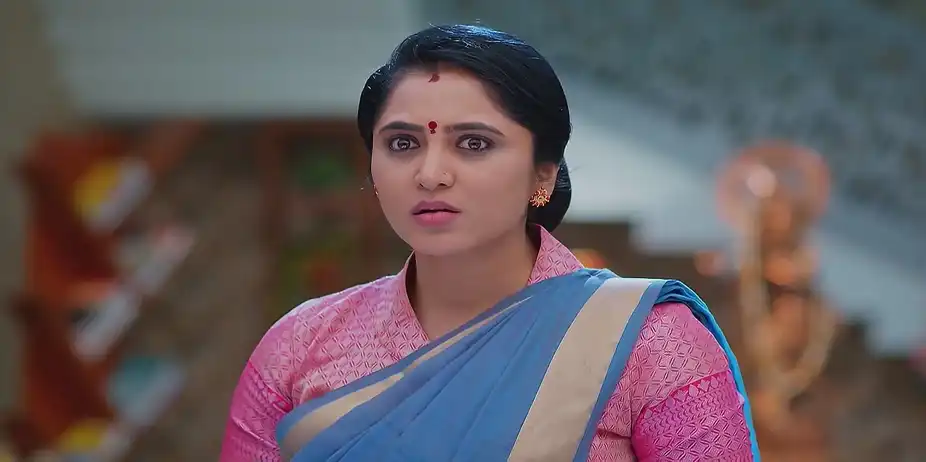 Meghasandesam - January 28, 2025 - Best Scene
