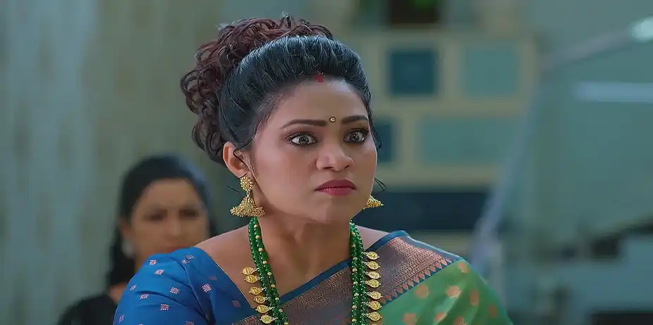 Meghasandesam - January 31, 2025 - Best Scene