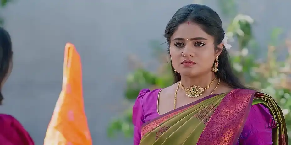 Jagadhatri - January 28, 2025 - Best Scene