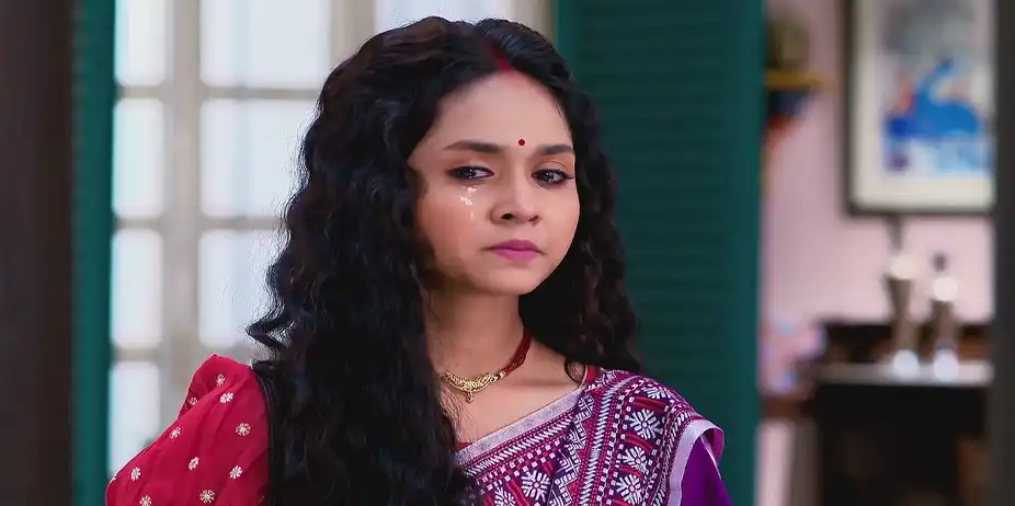 Debshankar Trusts Moyna - Puber Moyna
