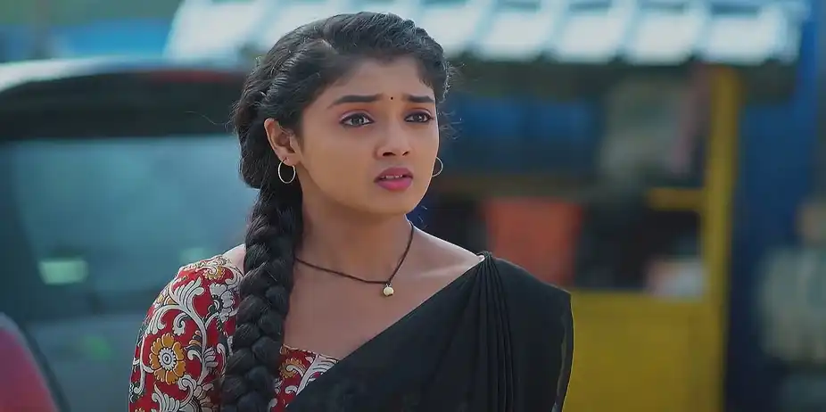 Meghasandesam - February 04, 2025 - Best Scene