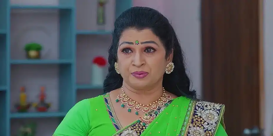 Meghasandesam - February 13, 2025 - Best Scene