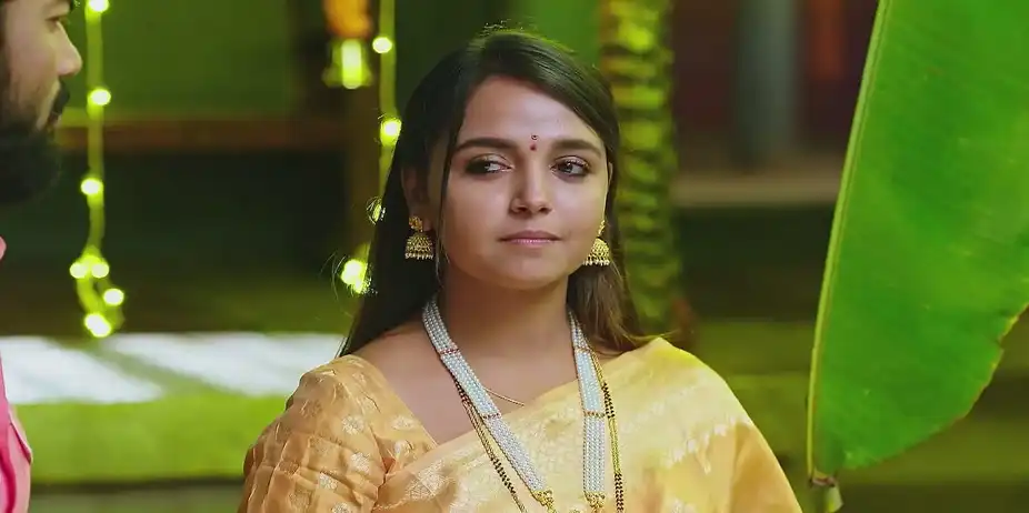 Veerabhadra's Words Raise Parvathi's Suspicions - Annayya