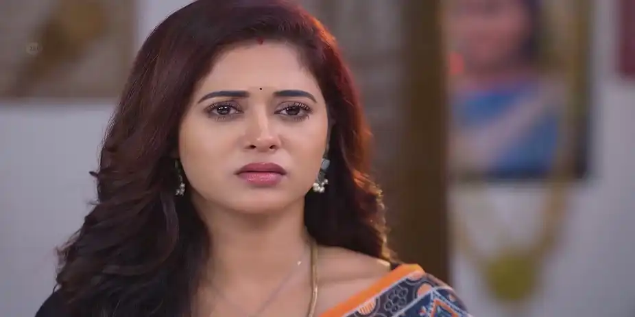 Seenu Argues with Janaki - Sandhya Raagam