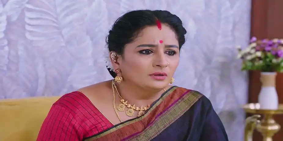 Madan Voices His Hatred for Vijaya - Shravani Subramanya