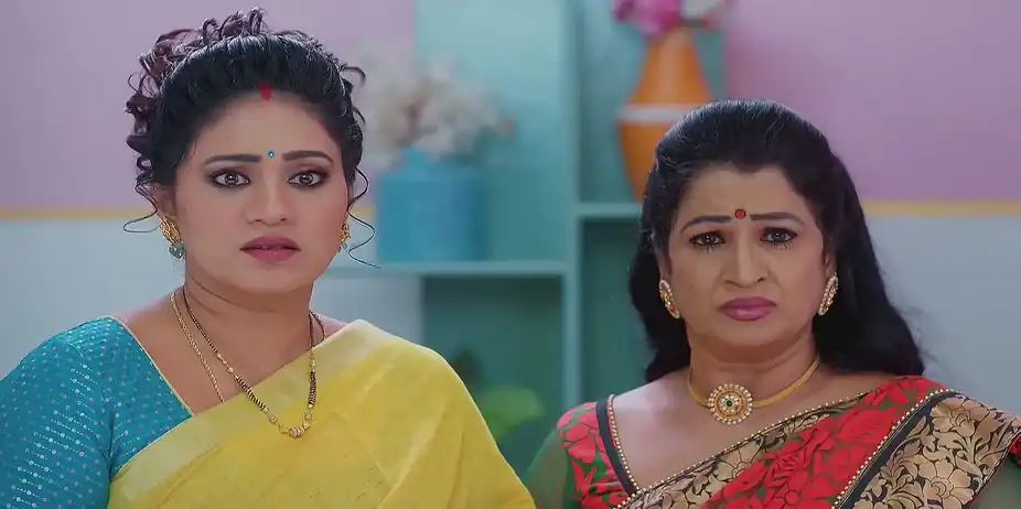 Meghasandesam - February 17, 2025 - Best Scene