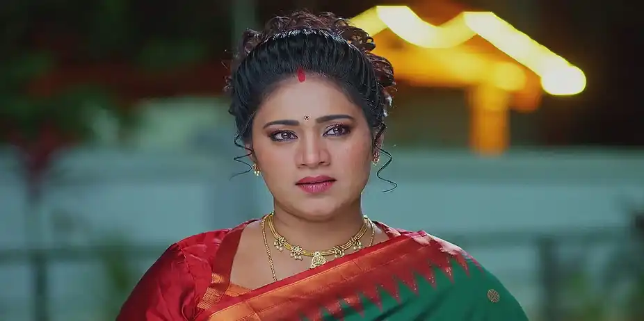 Meghasandesam - February 23, 2025 - Best Scene
