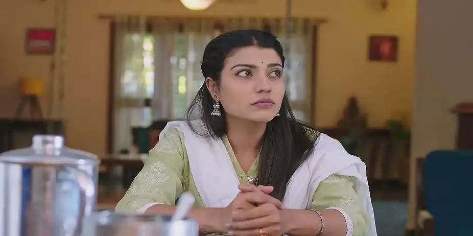 Samarth Learns about the Moneylender's Visit - Shrirasthu Shubhamasthu