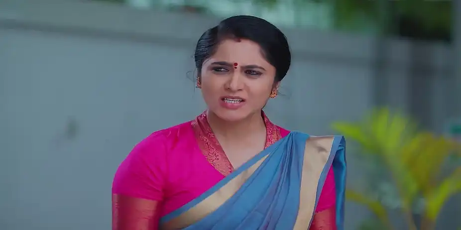 Meghasandesam - February 24, 2025 - Best Scene