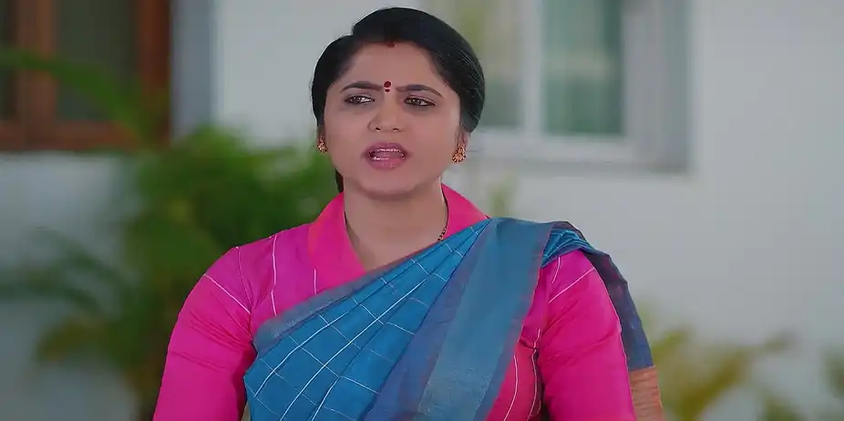 Meghasandesam - February 25, 2025 - Best Scene