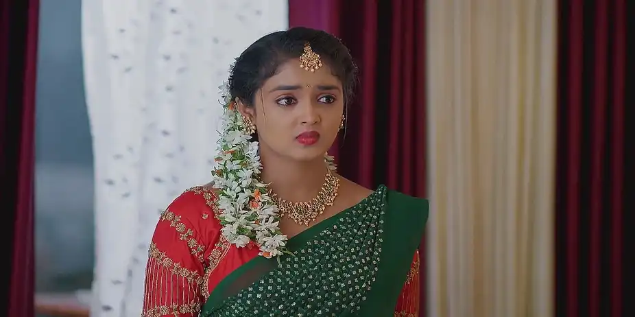 Meghasandesam - February 26, 2025 - Best Scene