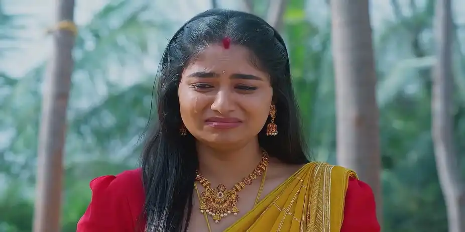 Meghasandesam - February 28, 2025 - Best Scene