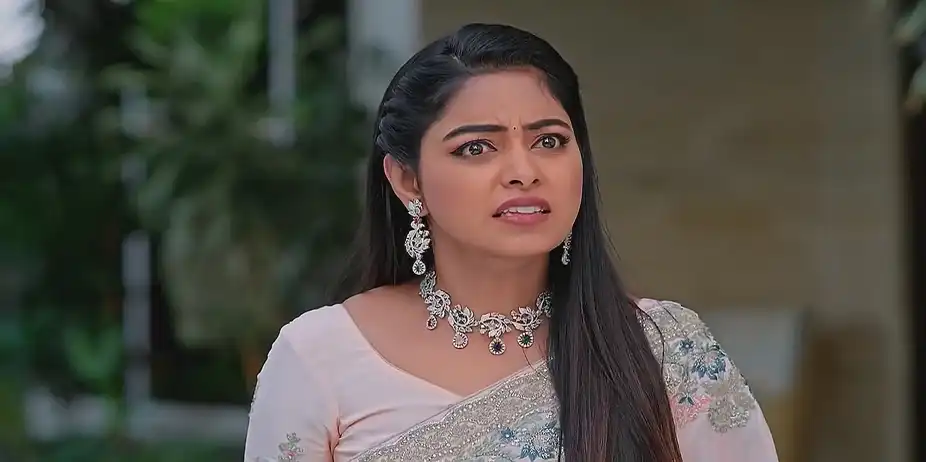 Jagadhatri - February 26, 2025 - Best Scene