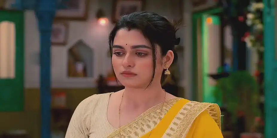 Raj Pines for Shree - Amar Sangi