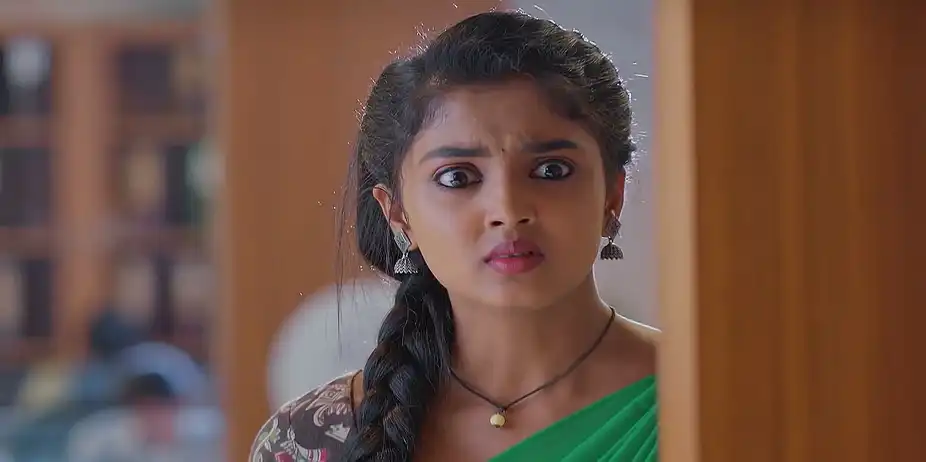 Meghasandesam - March 08, 2025 - Best Scene
